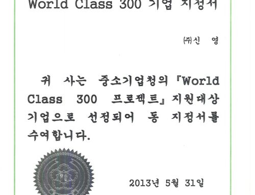 World Class 300